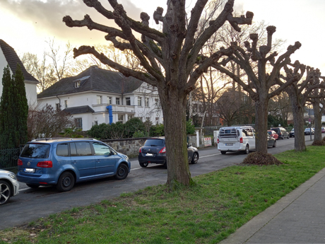 Koeln Rodenkirchen